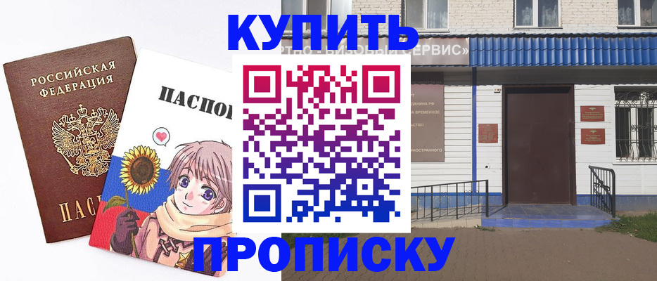 прописка в Ельне